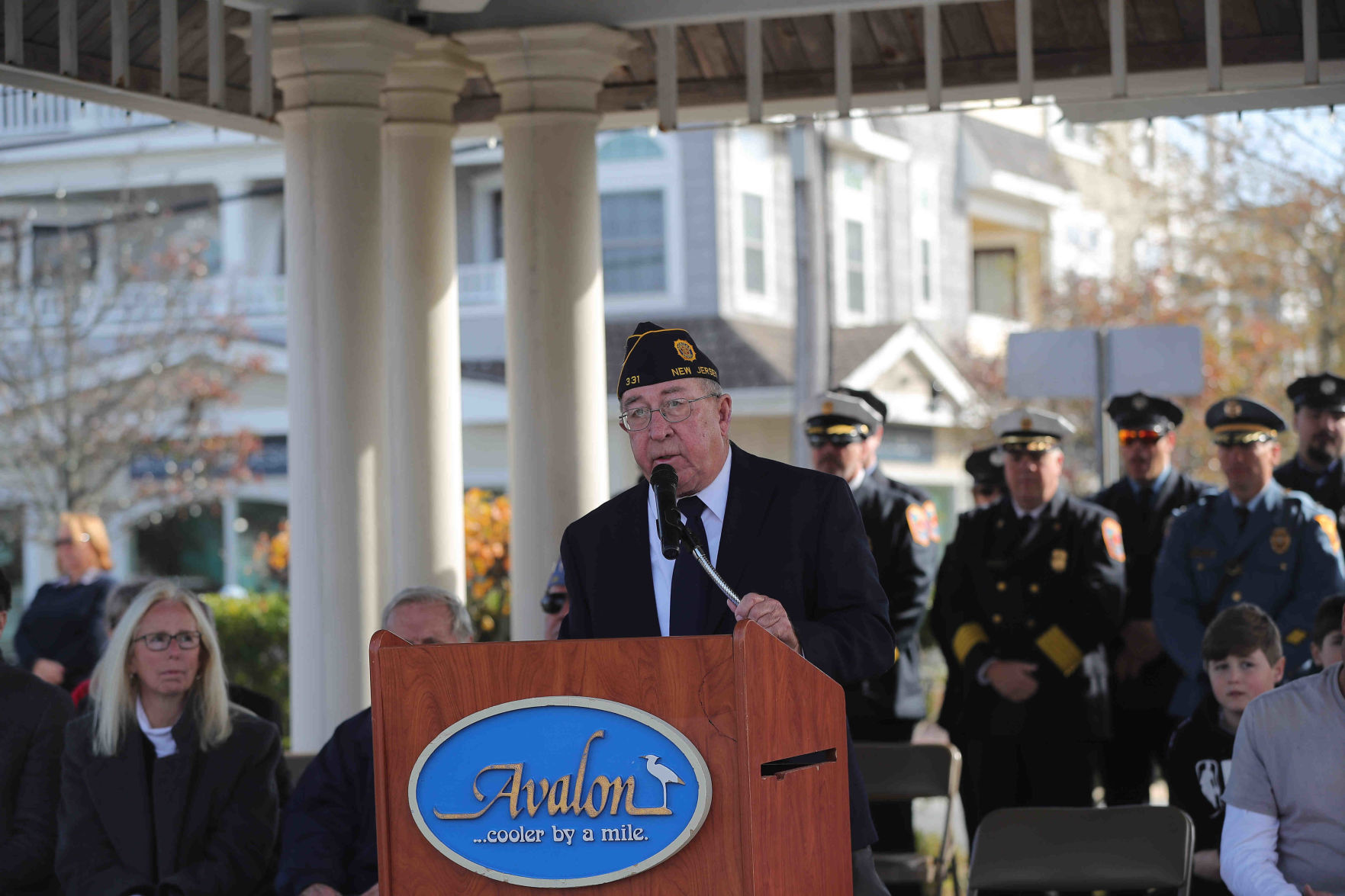 Veterans Day in Avalon
